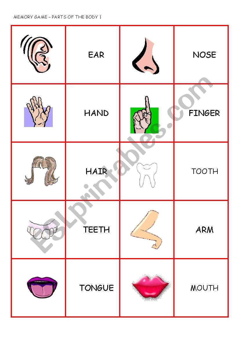 PARTS OF THE BODY MEMORY GAME (1/2)