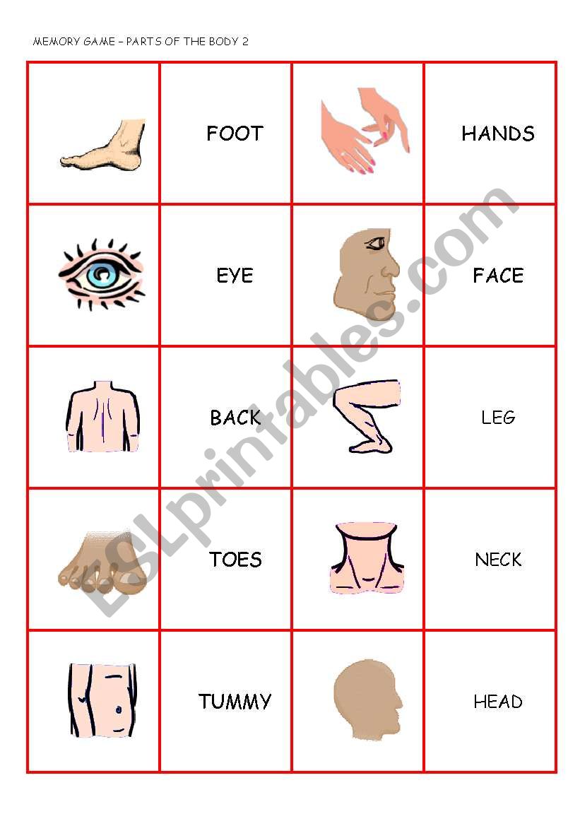 PARTS OF THE BODY MEMORY GAME (2/2)