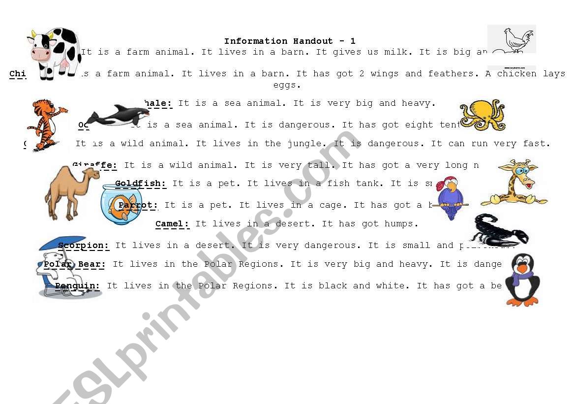 animals worksheet