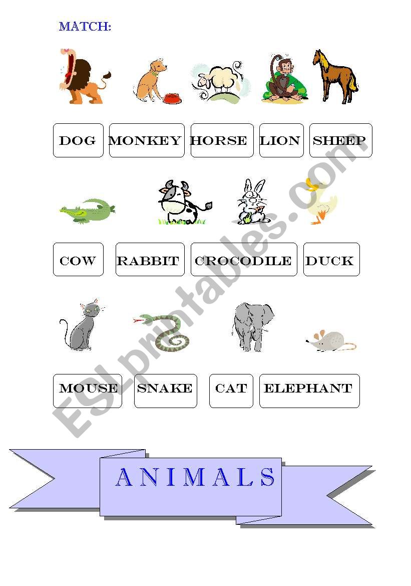 ANIMALS worksheet