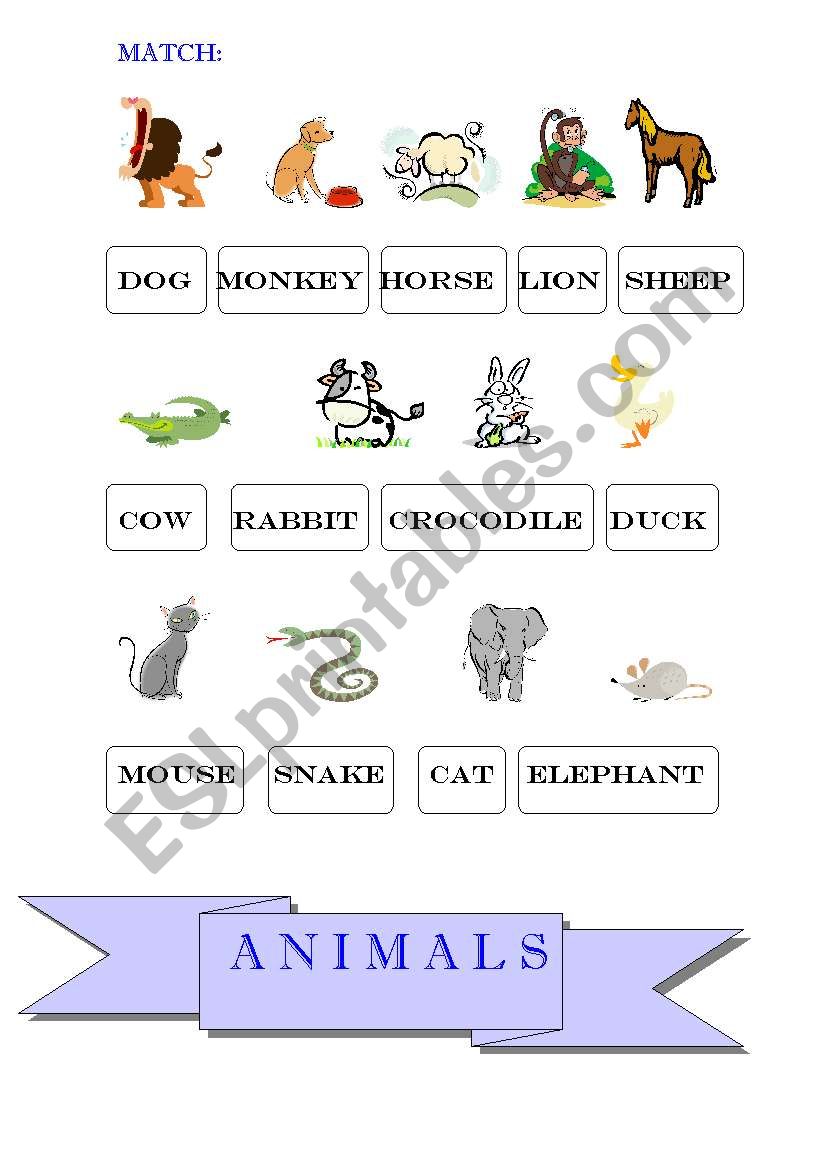 ANIMALS worksheet