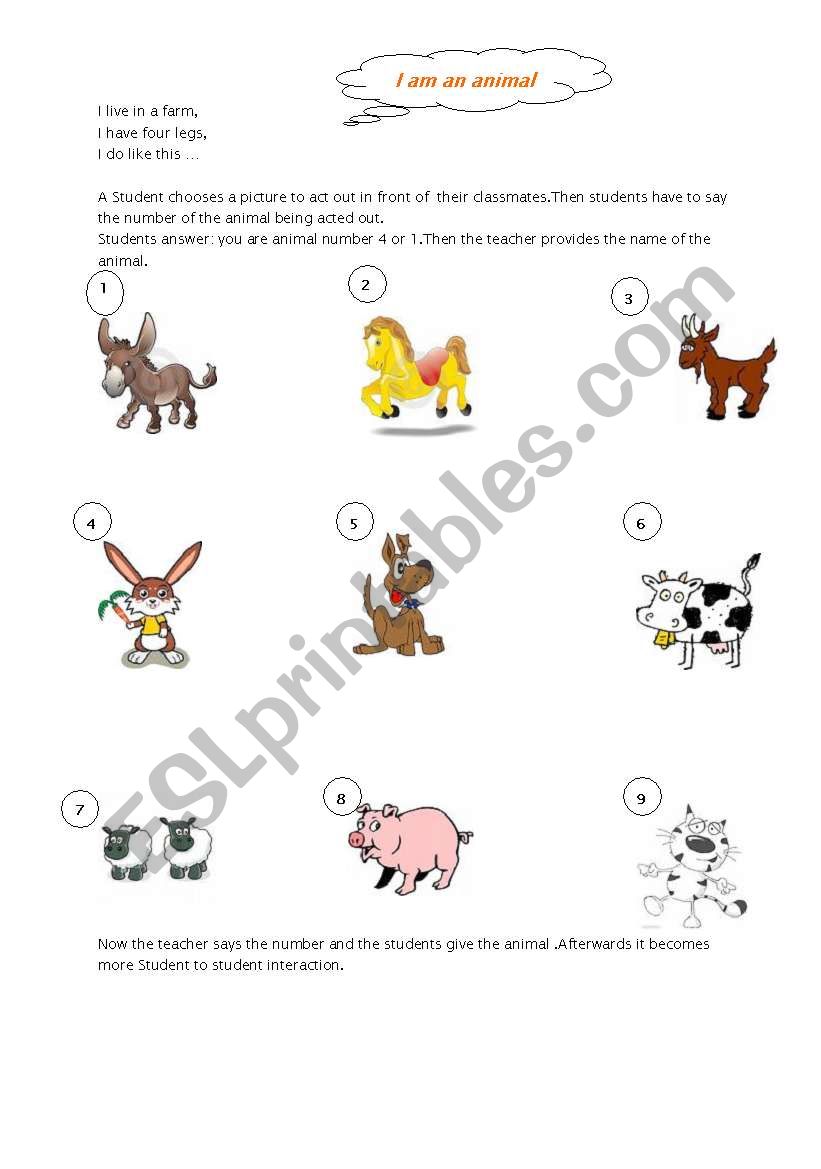 Animals worksheet