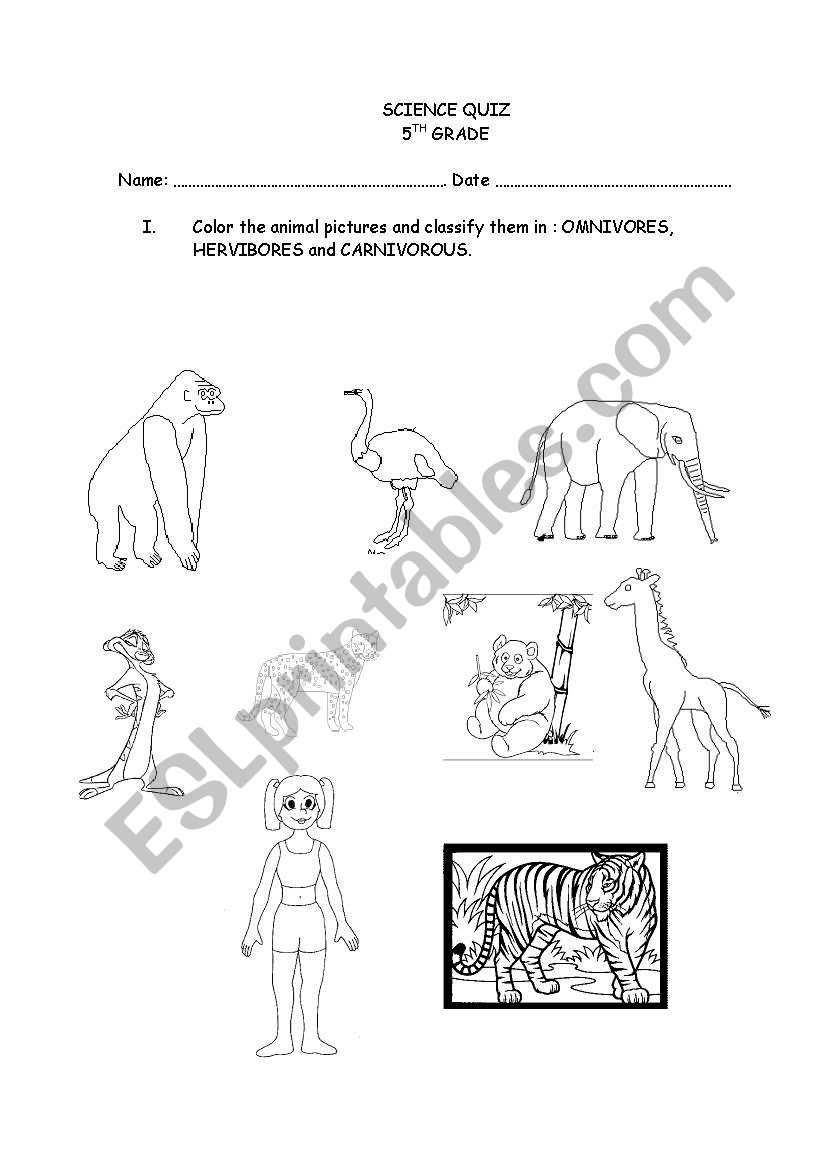 Mammals worksheet