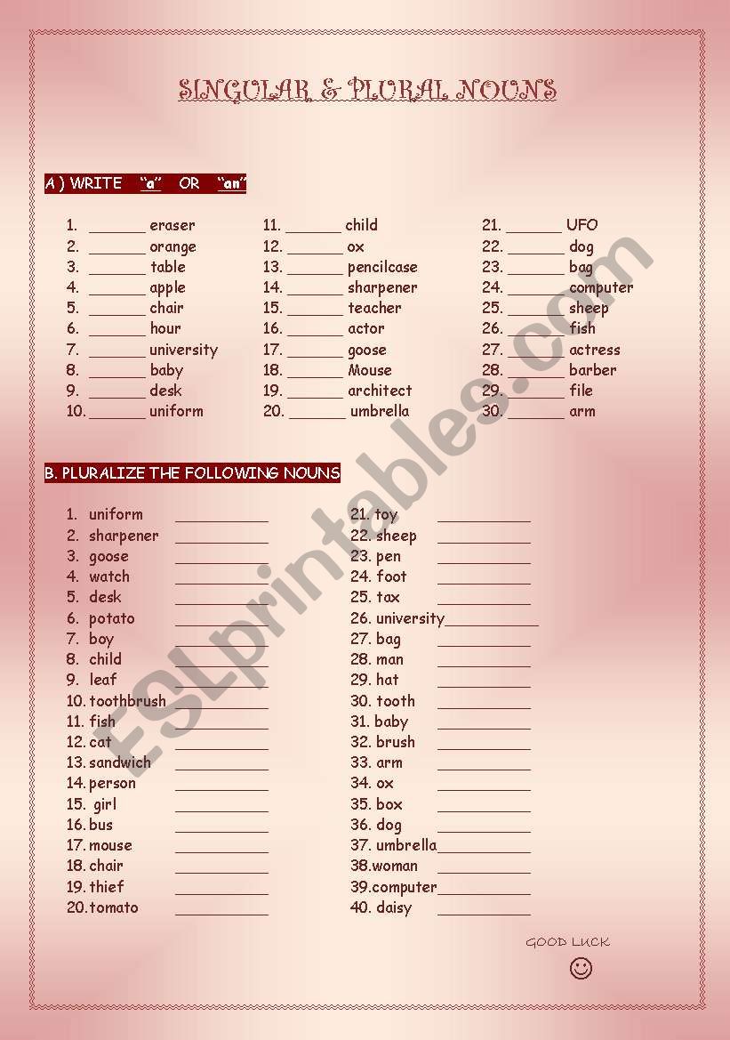 Singular and plural nouns worksheet