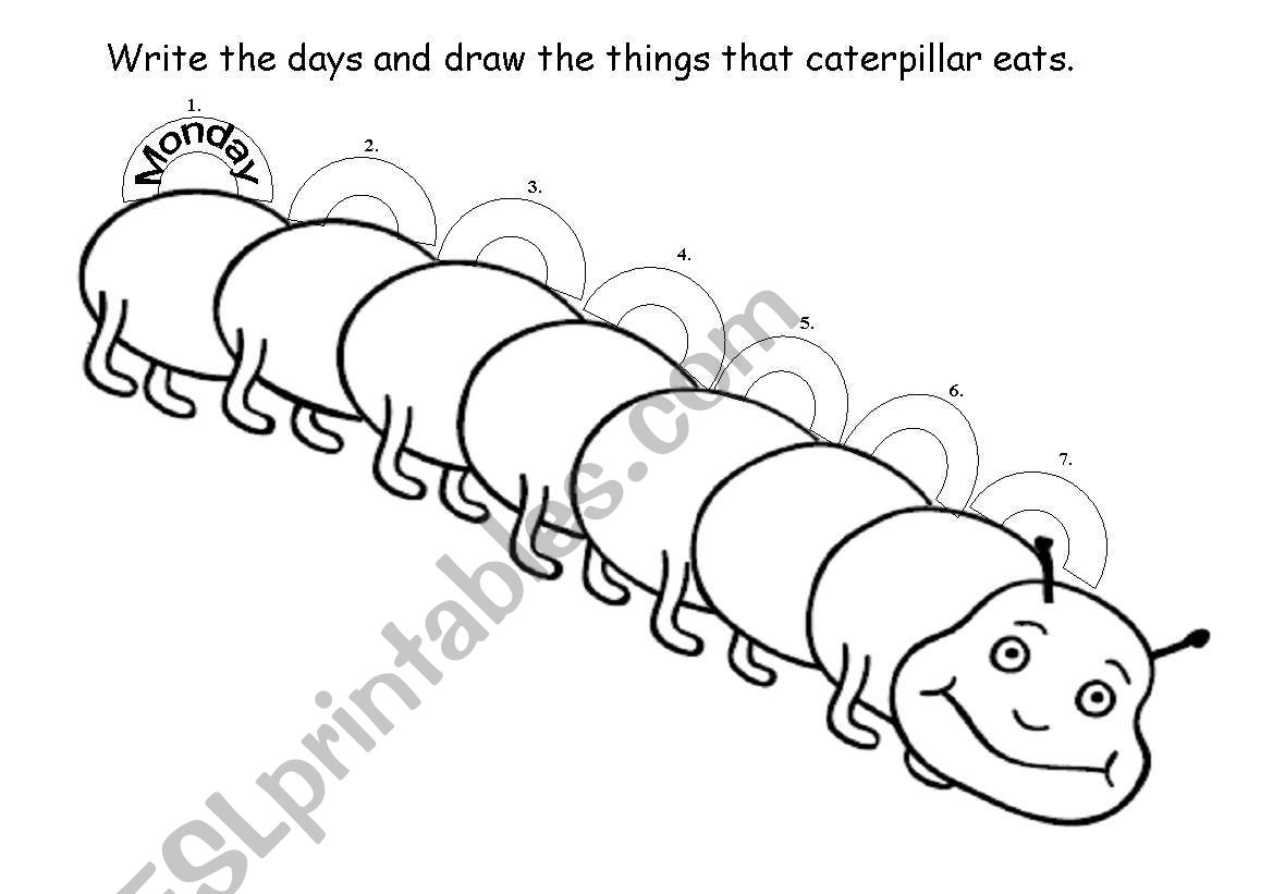 caterpillar graphic organizer worksheet