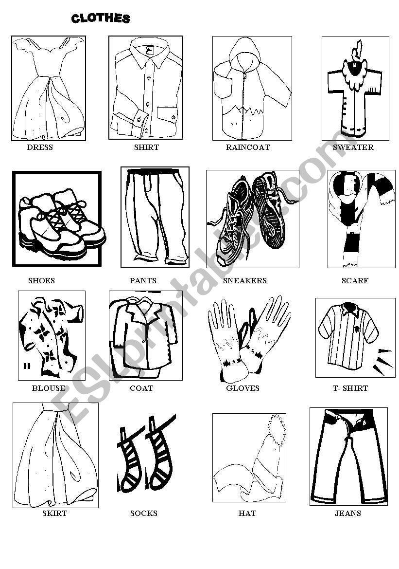 clothes  worksheet