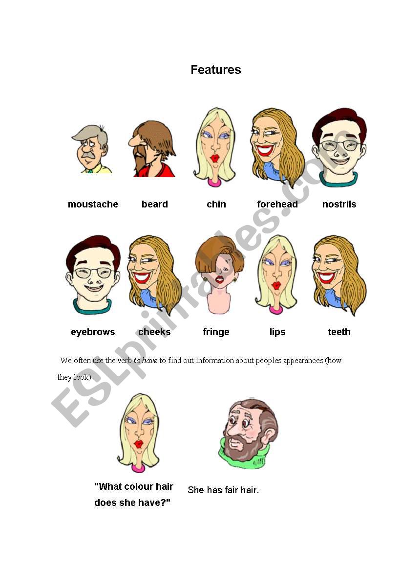 Describe people - ESL worksheet by sandyeliza27