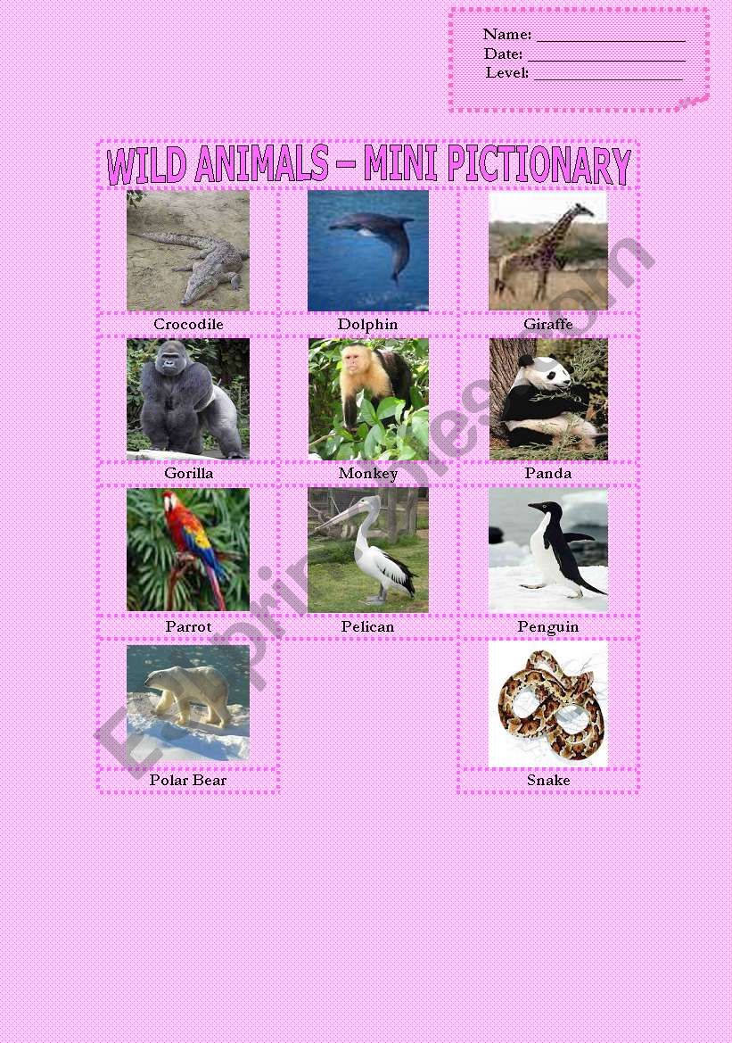 Wild Animals - Mini Pictionary (Part 1 of 2)