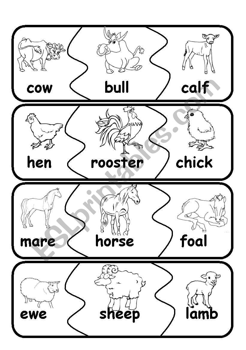 animal families1 worksheet