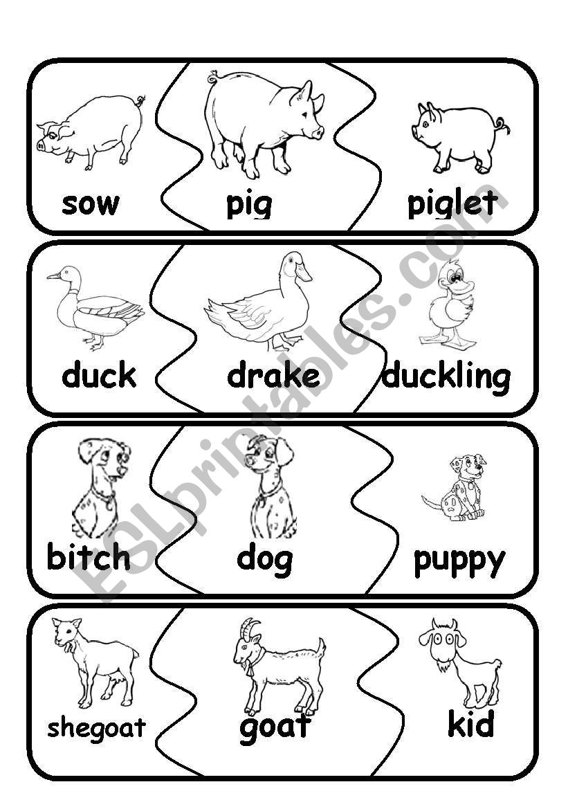 animal families2 worksheet