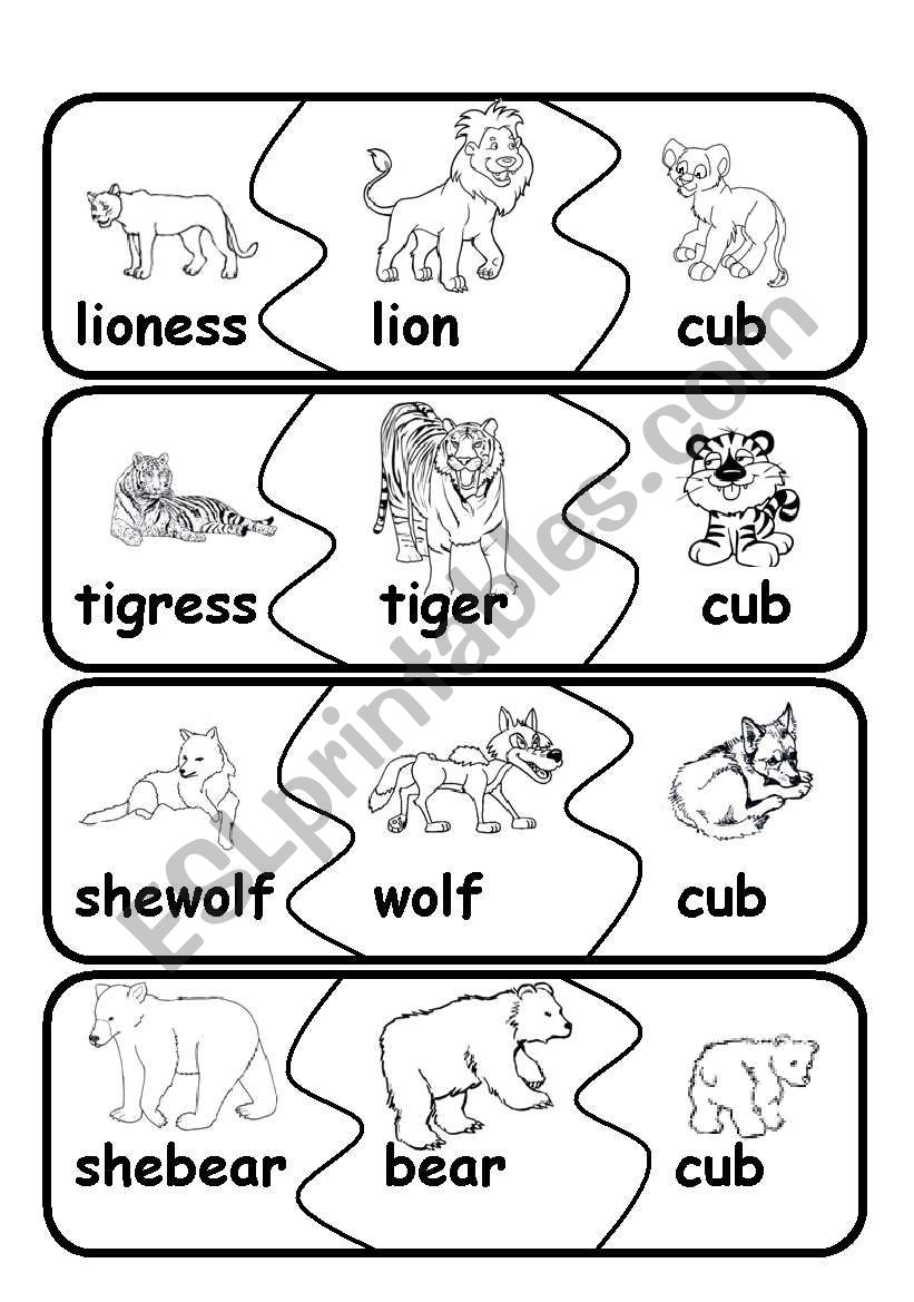 animal families3 worksheet