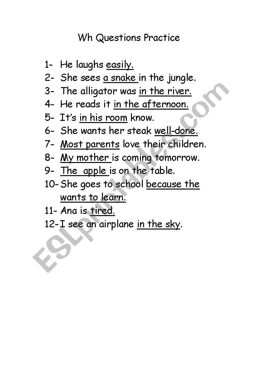 Wh Questions Practice worksheet