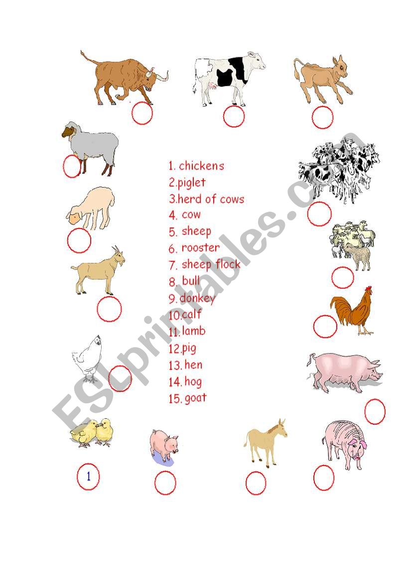 farm animals worksheet