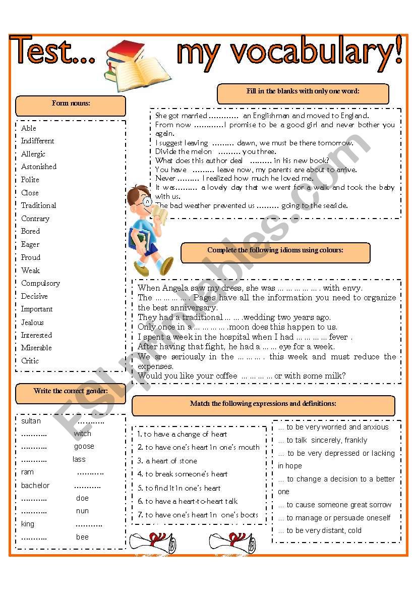 TEST MY VOCABULARY   2 worksheet