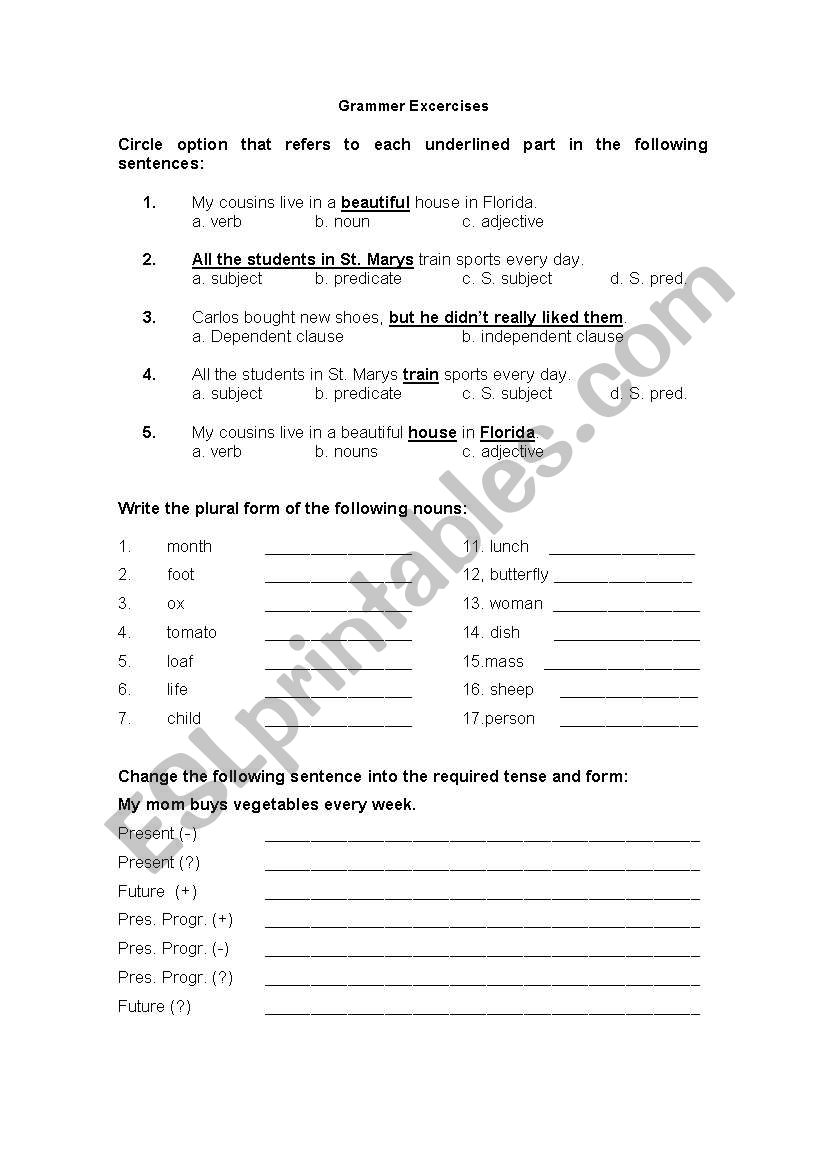 Grammer Excercises worksheet