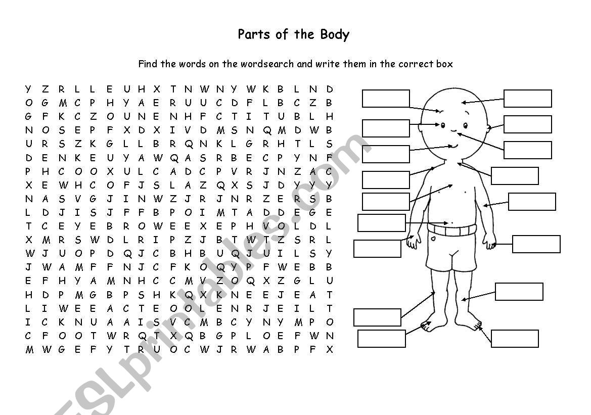 Parts of the Body Wordsearch worksheet