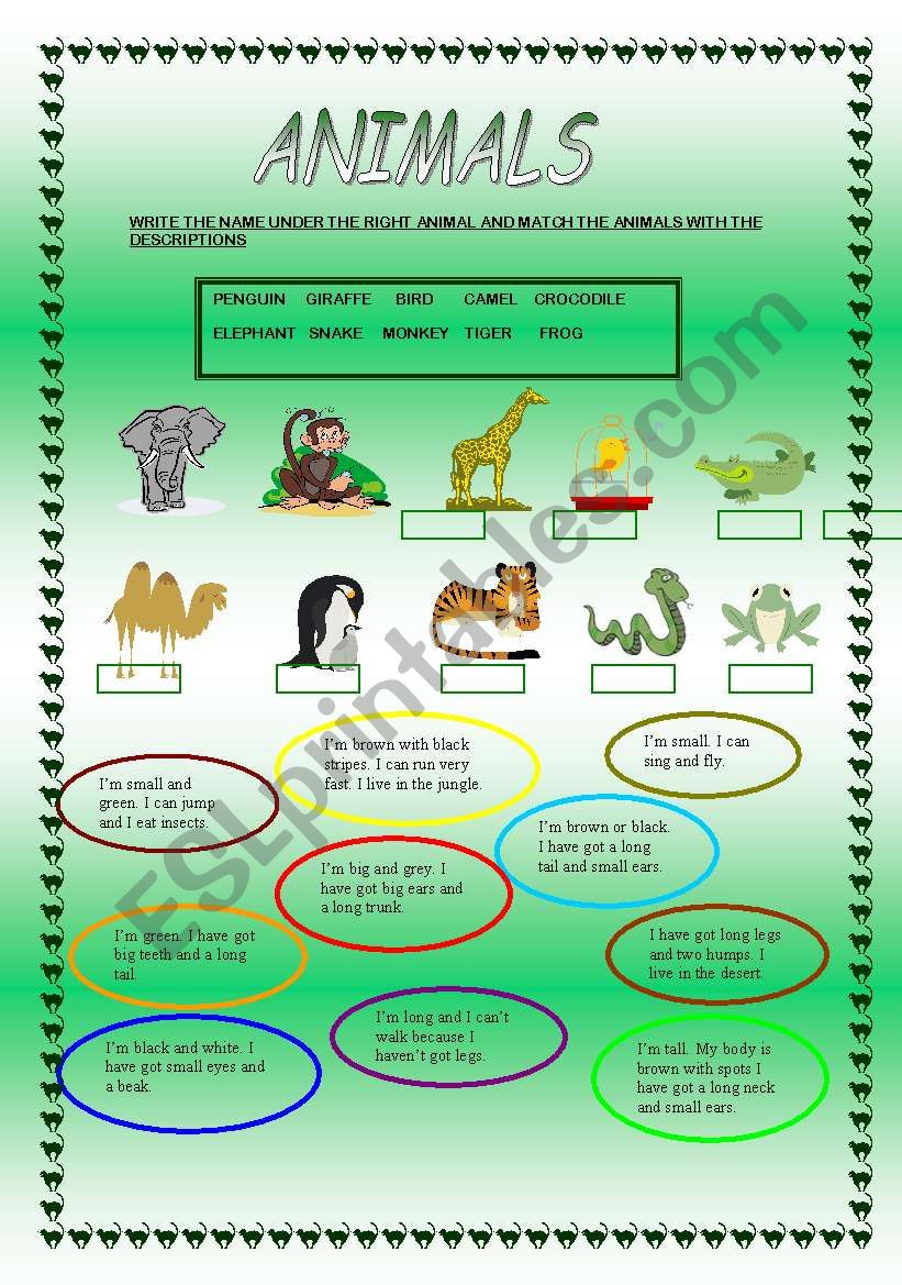 ANIMALS worksheet