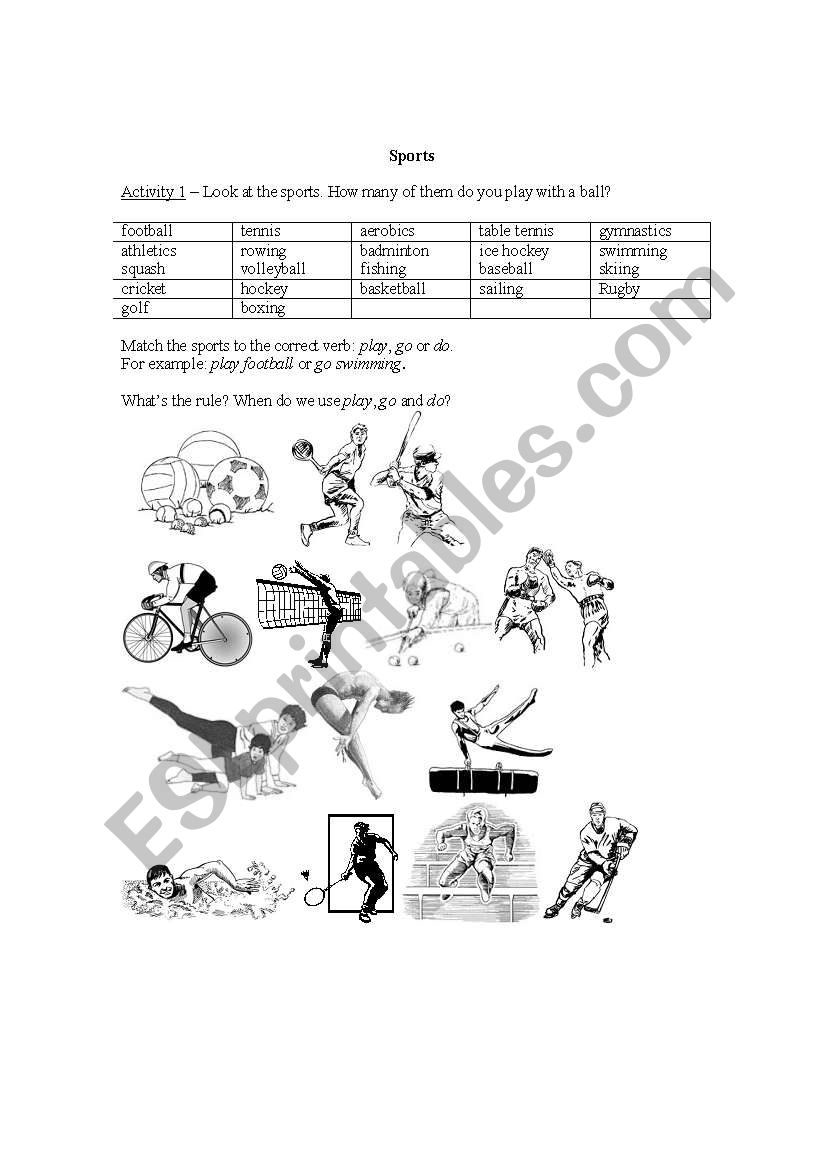 Sports worksheet