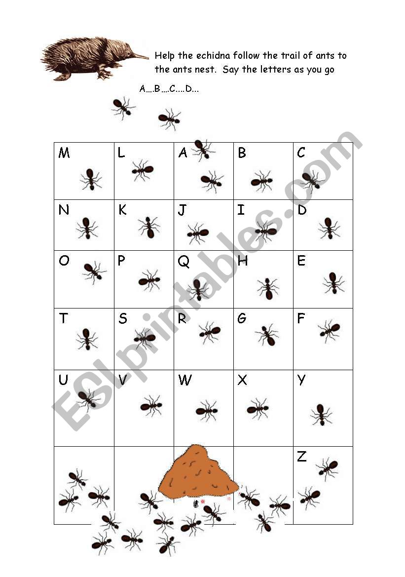 Echidna (ant eater) alphabet maze.