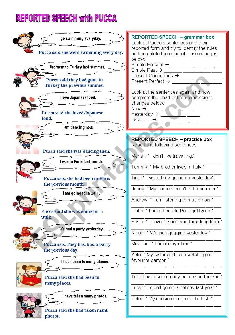 reported speech with pucca worksheet