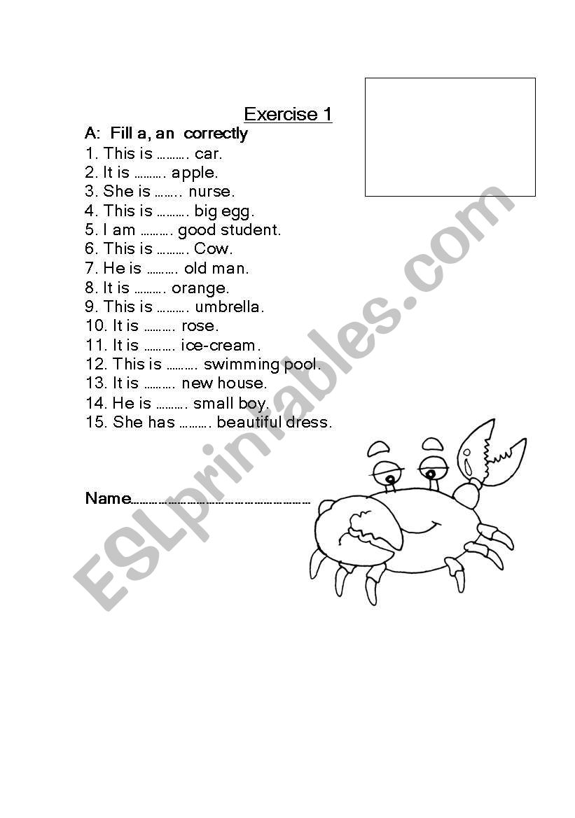 article worksheet