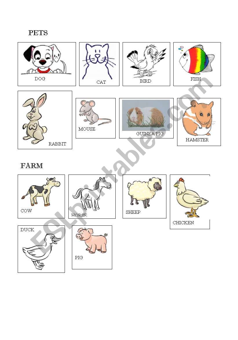 pets and farm animals worksheet