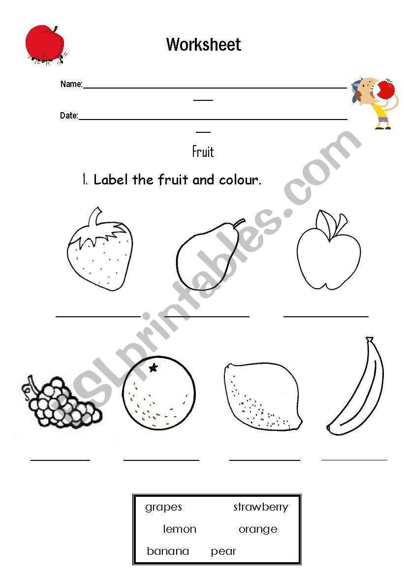 Worksheet about fruit worksheet