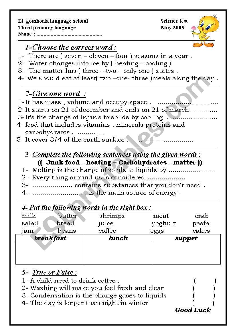science for third primary - ESL worksheet by solygibaly Throughout Language Of Science Worksheet