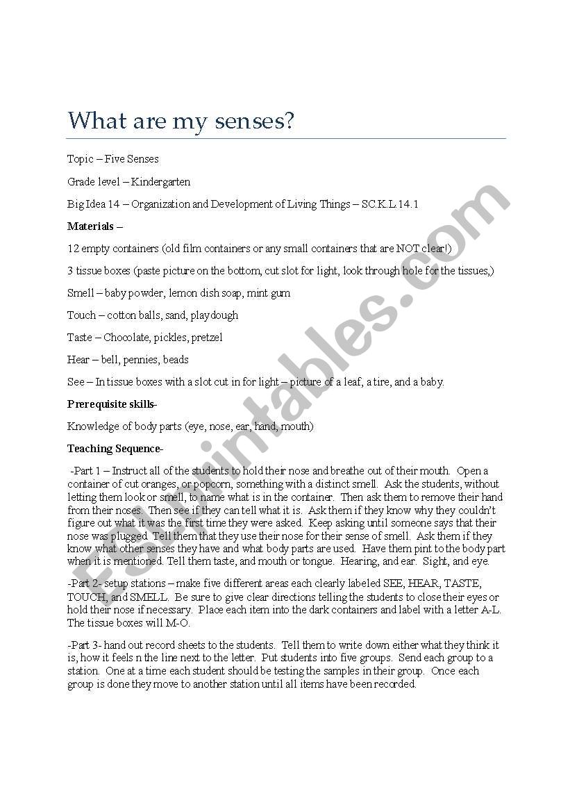 What are my senses? worksheet