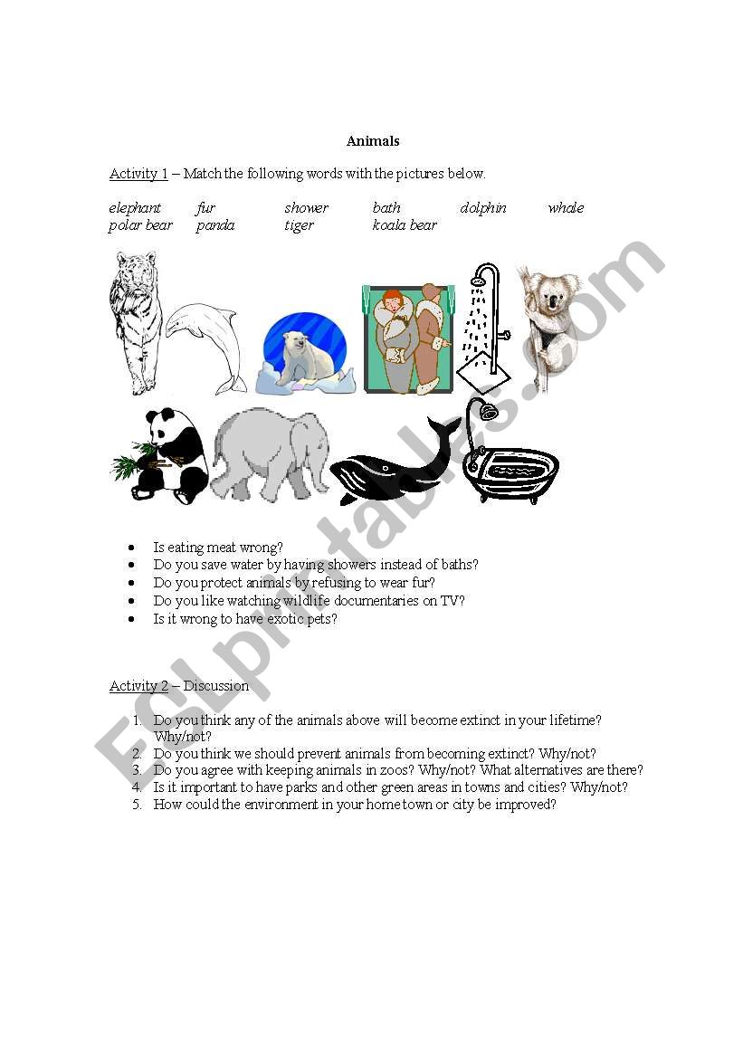 animals worksheet