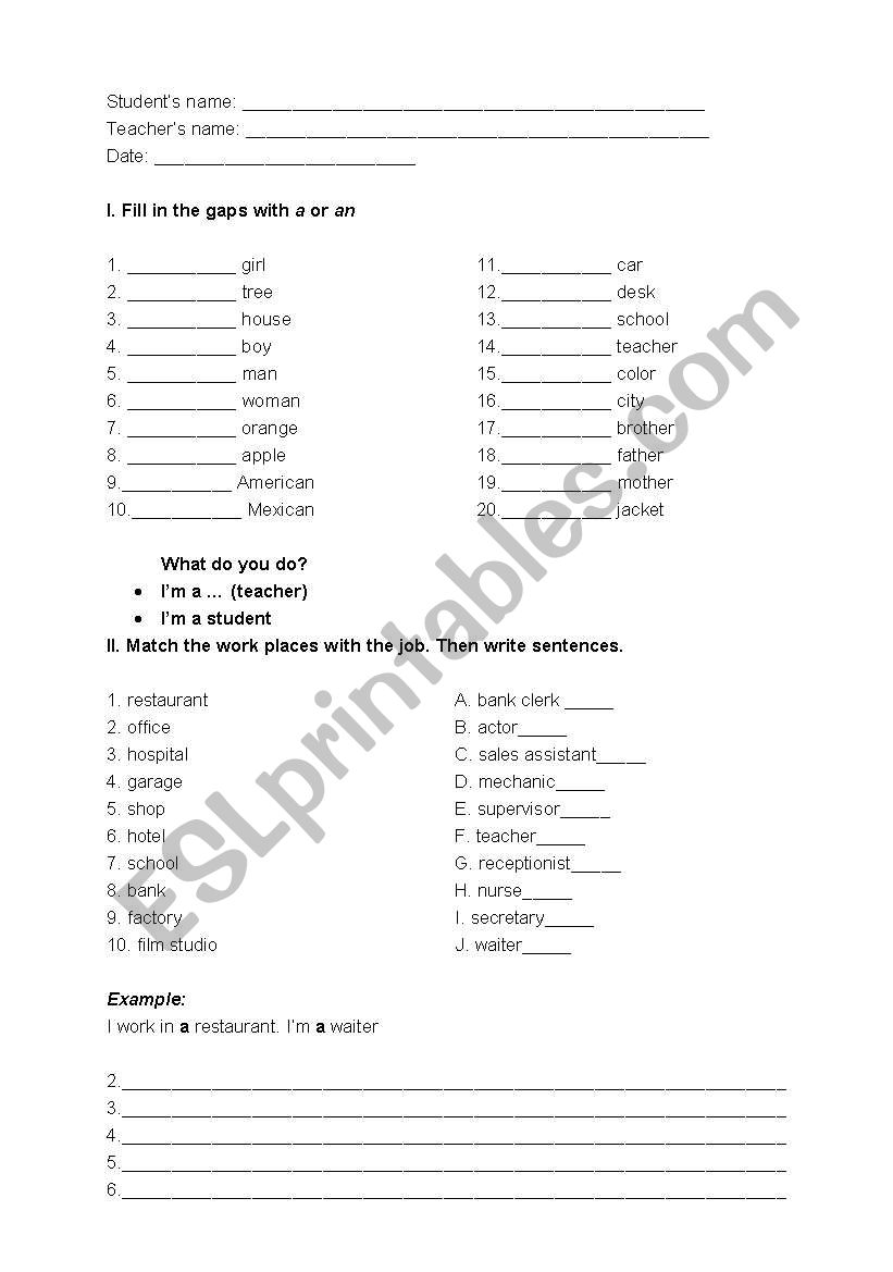 A, AN EXERCISES worksheet