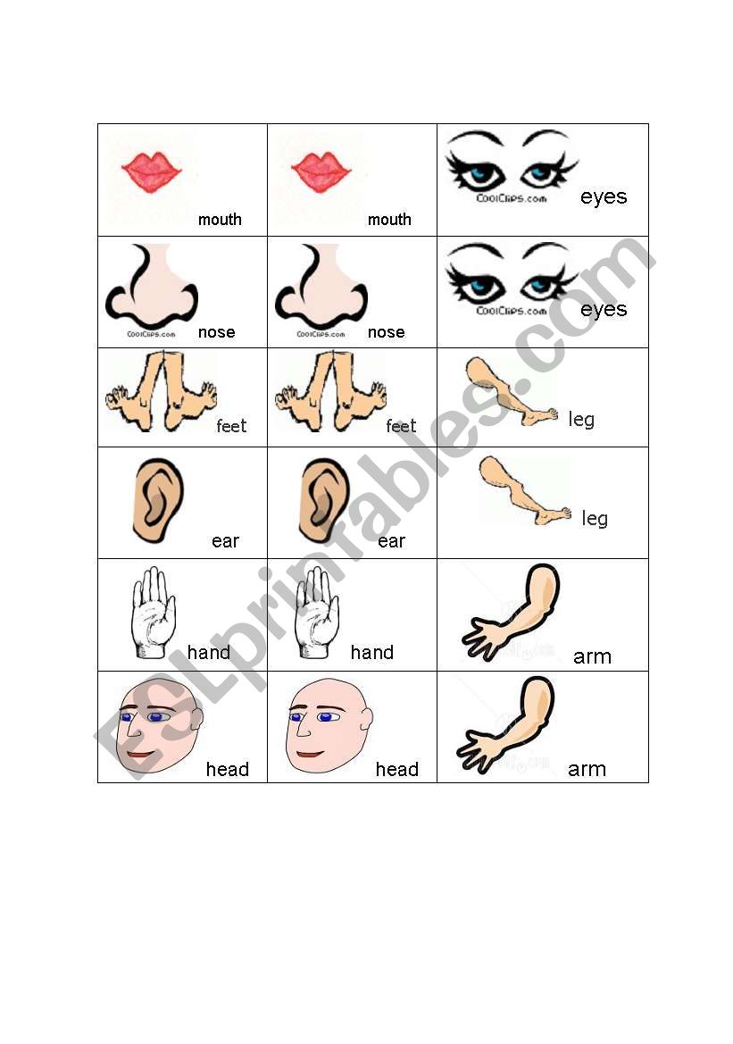 Simple Body parts cards worksheet