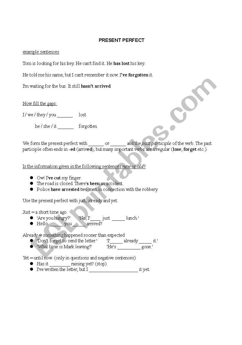 Present perfect worksheet