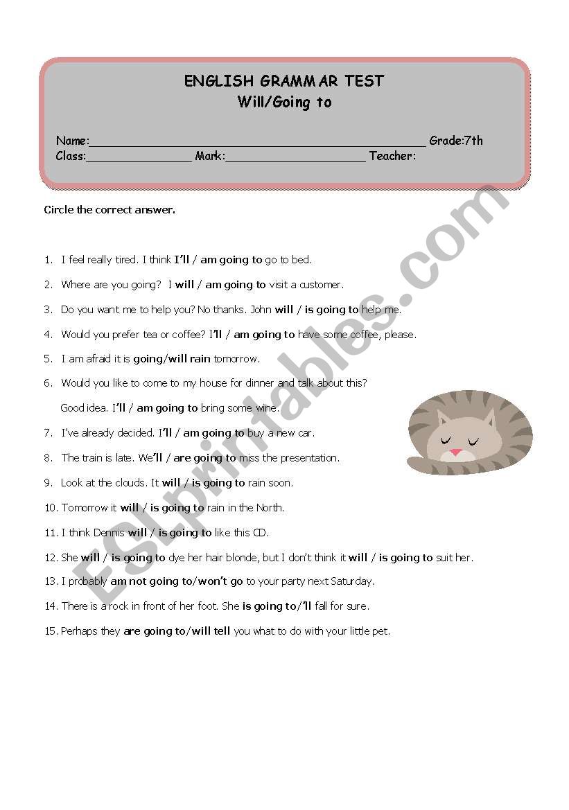 Will/Going to Test worksheet