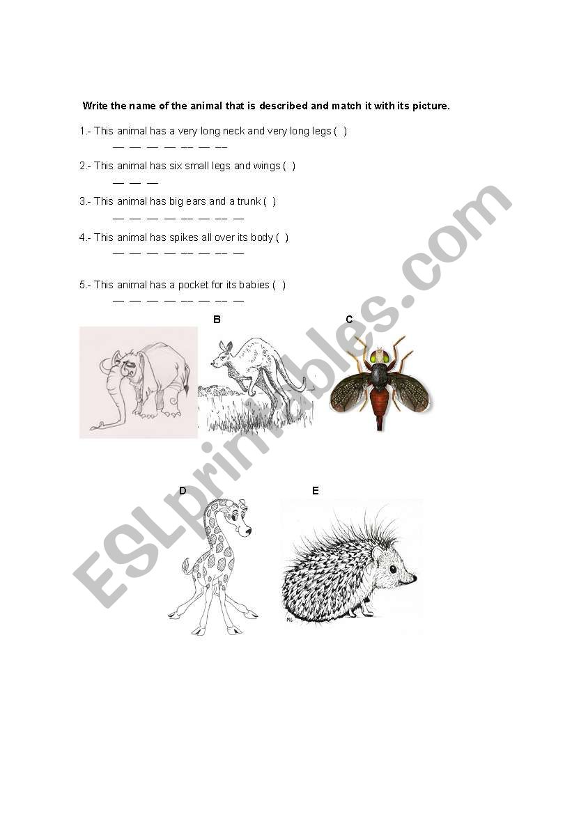 Animals worksheet