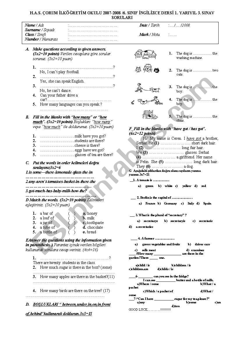study sheet worksheet