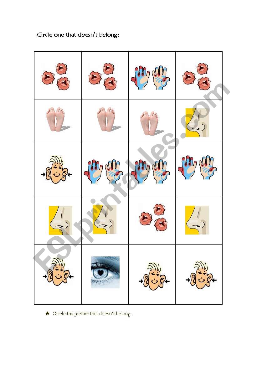 Parts of the Body worksheet