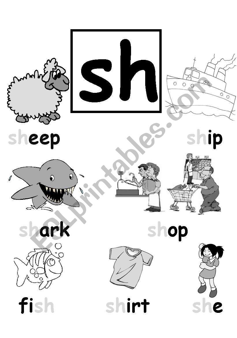 SH blend poster worksheet