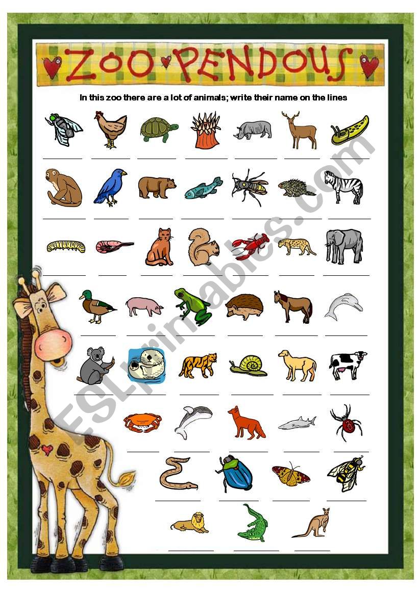 ZOO PENDOUS - WRITE THE NAME OF THE ANIMALS - PART 2