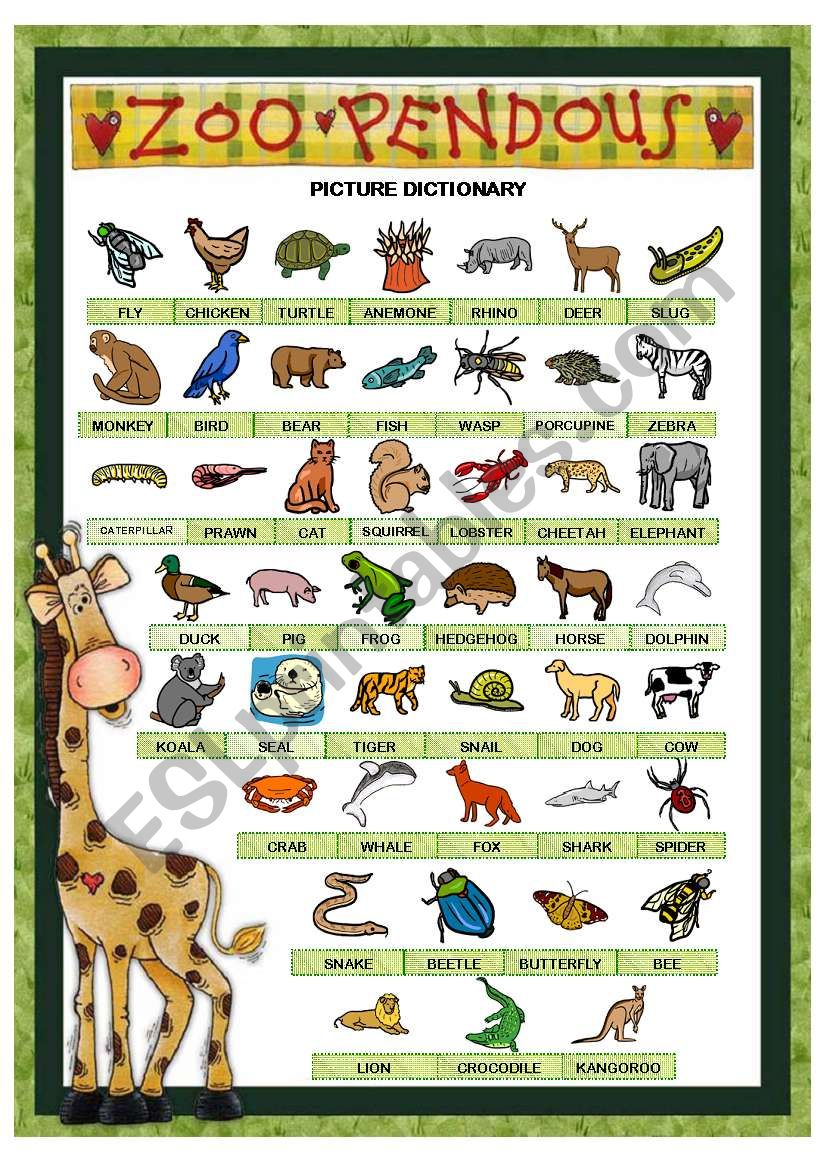 ZOO PENDOUS - PICTURE DICTIONARY (animals) - PART 1