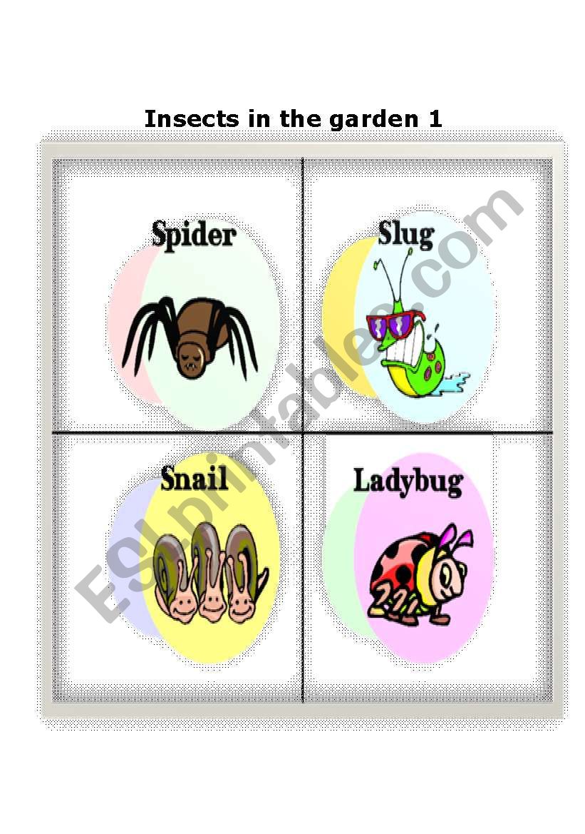 Insects in the garden part 1 worksheet