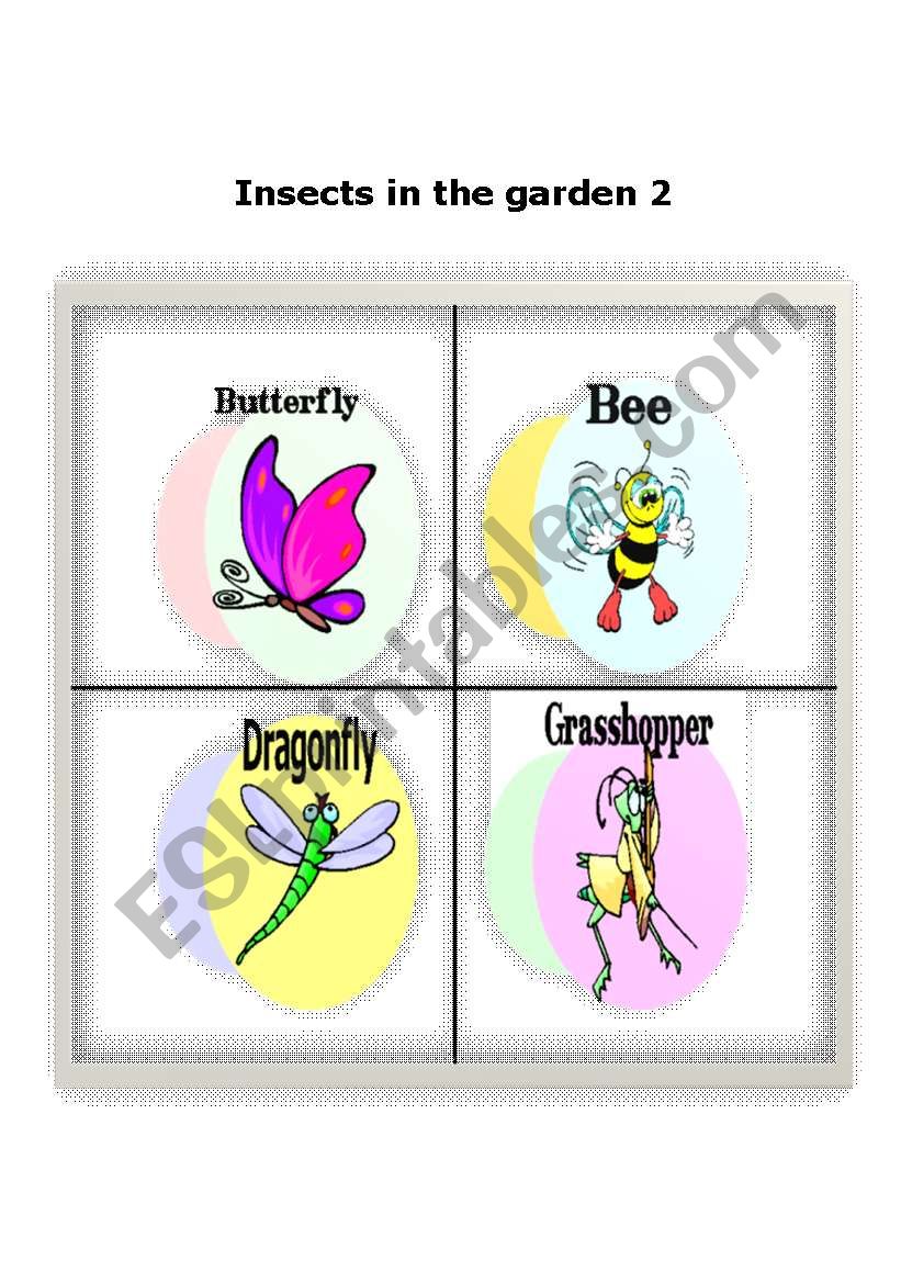 Insects in the garden 2 worksheet