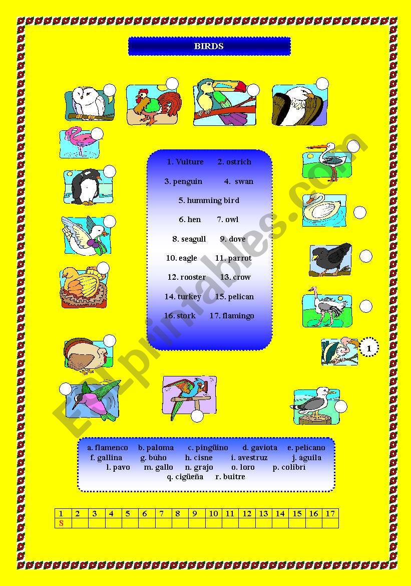 Birds worksheet