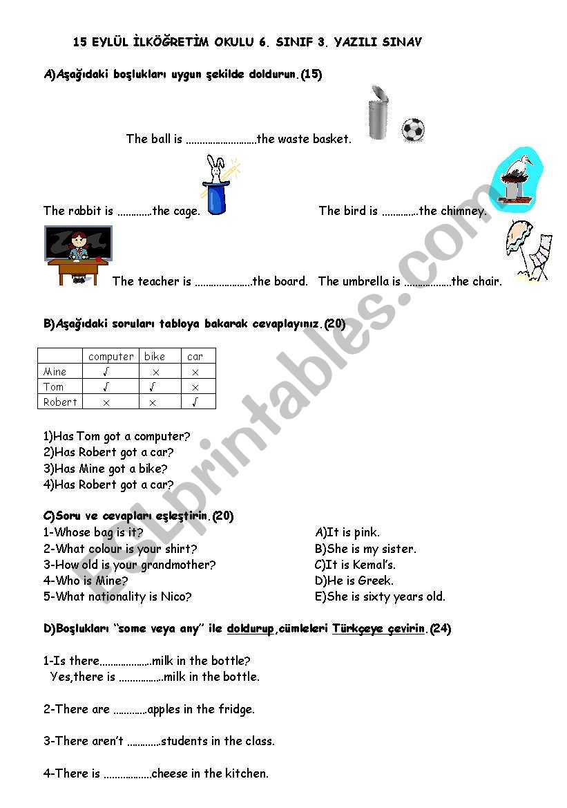 study sheet worksheet