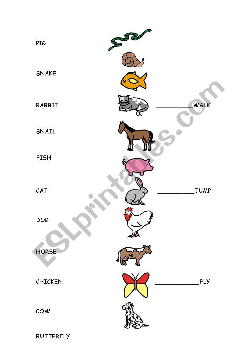Animals+action verbs worksheet