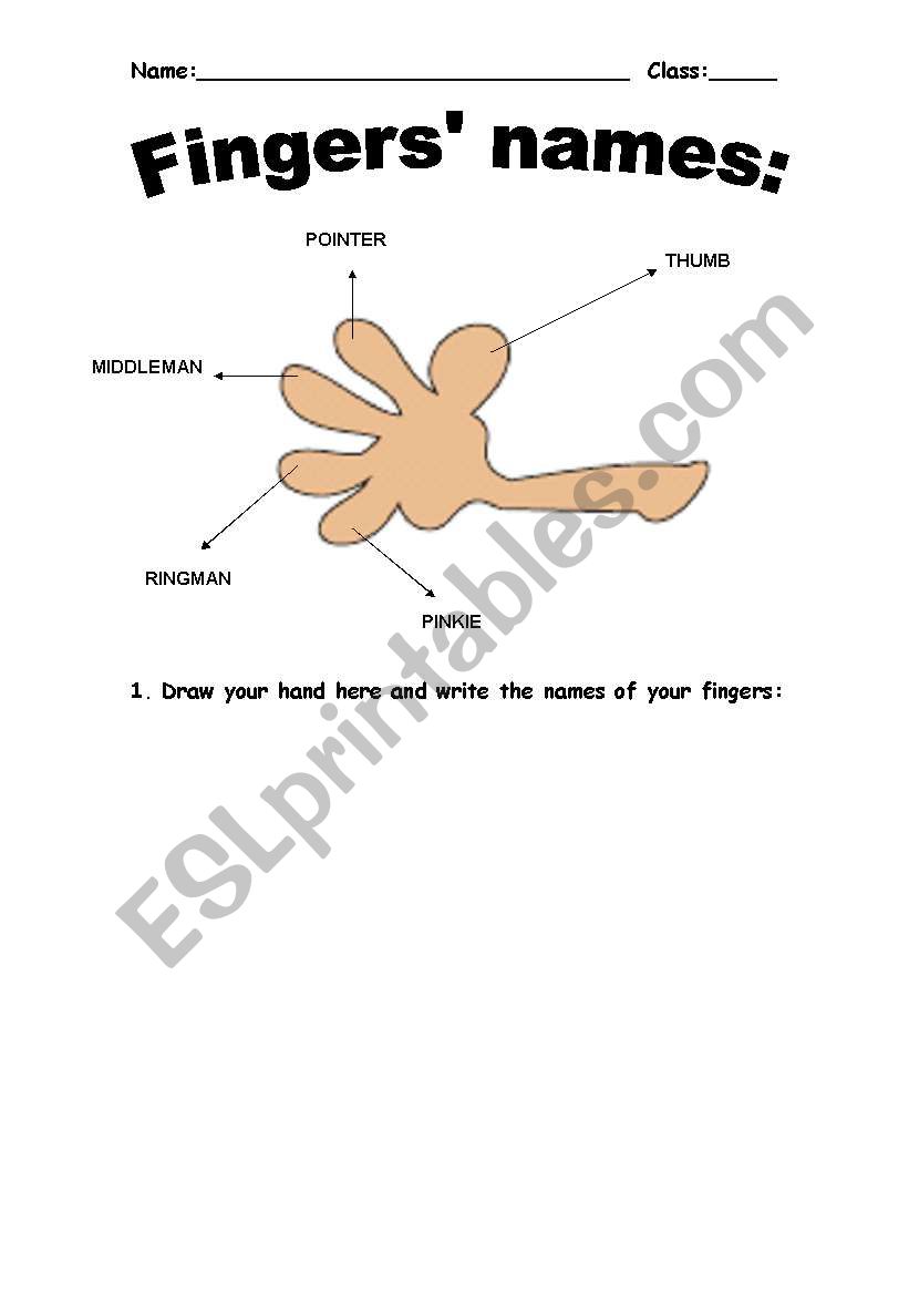 Fingers names worksheet