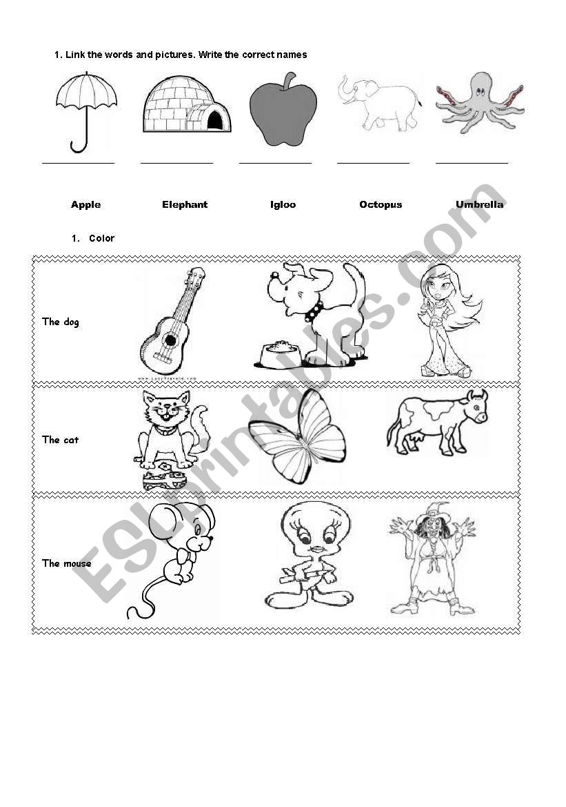 Animals  worksheet