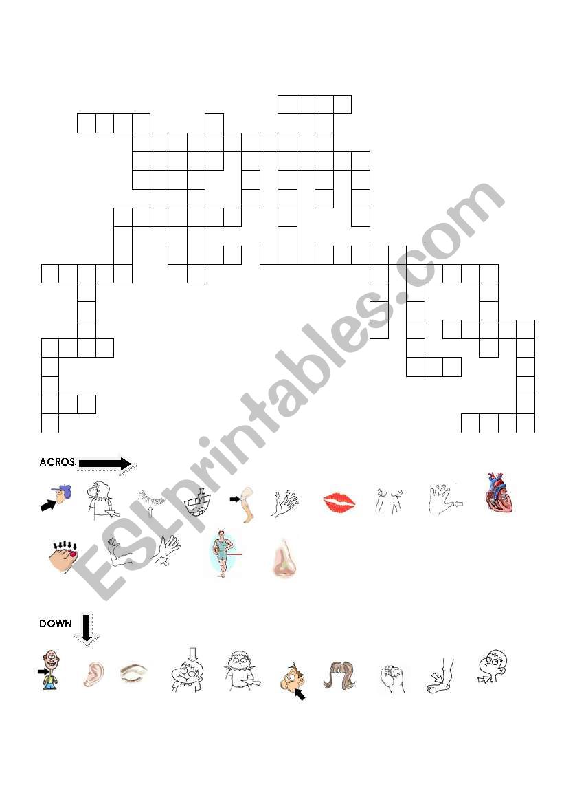 BODY PART CROSSWORD PUZZLE worksheet