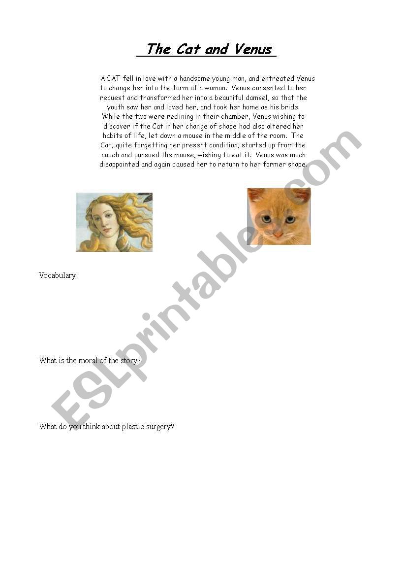 The Cat and Venus worksheet