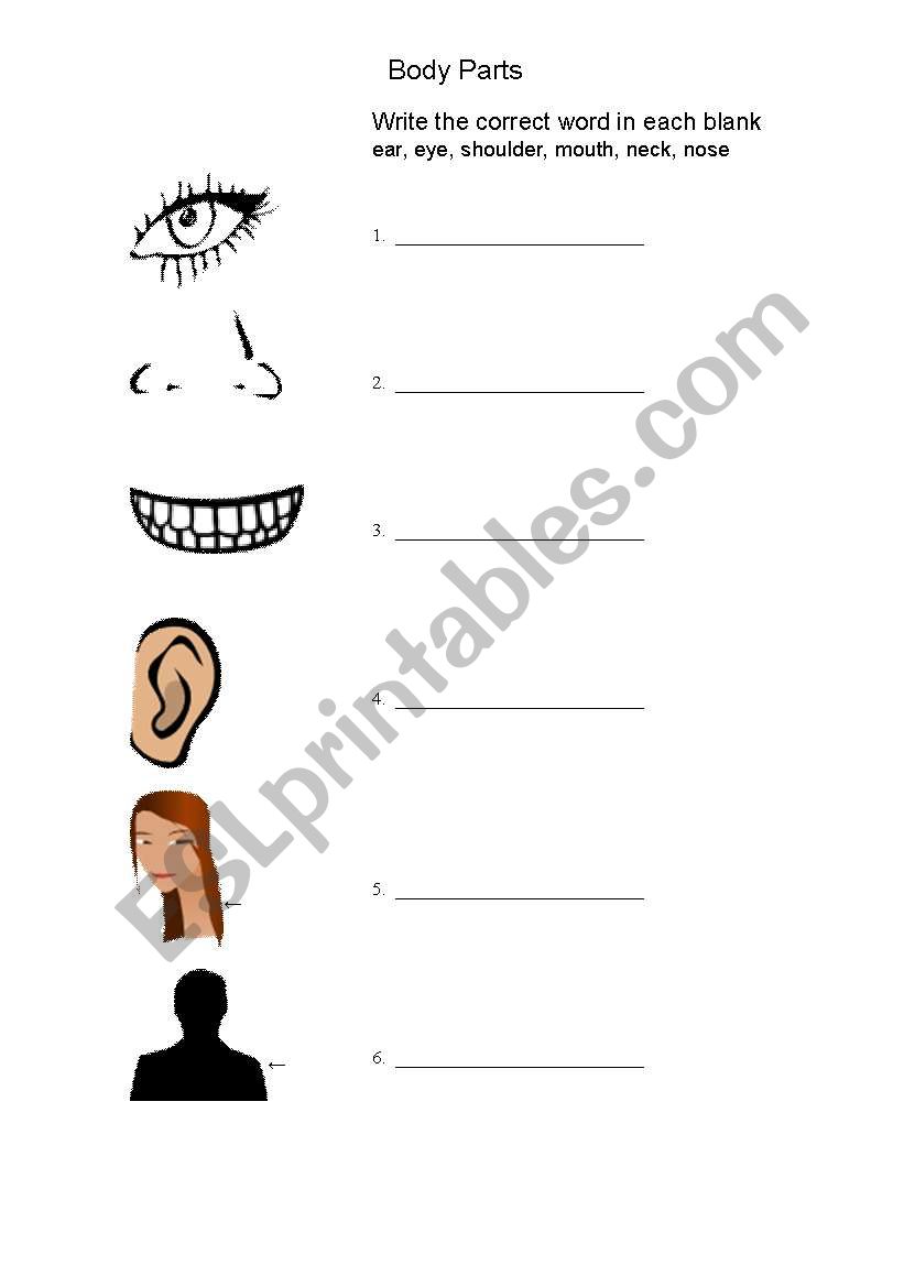 Body Parts 1 worksheet